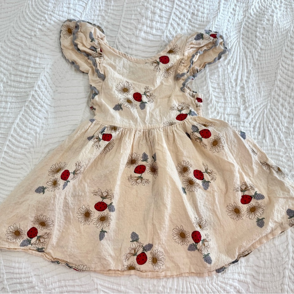 Floral Embroidered Kids Casual Dress - Cream and Red